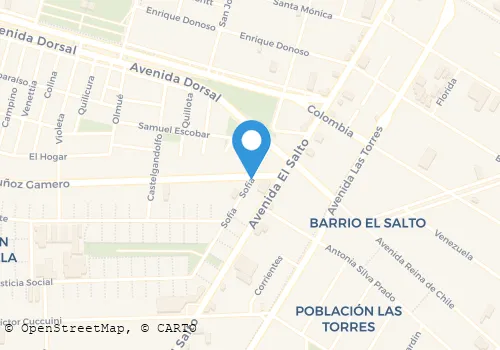 FELIX MANUEL BRAVO ARAYA Salud Y Belleza en Recoleta RM