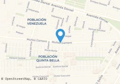 CASTRO VERGARA OROLINDA DE LAS NIEVES Y  OTRO Medicinas en Recoleta RM