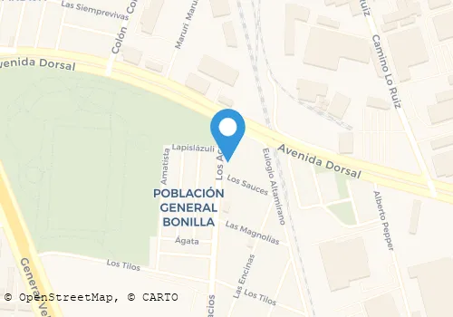 HORACIO MEYER VON TEUBER TRANSPORTES Y SERVIC Transporte De Carga en Renca RM