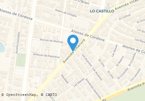 RADIO TAXIS SANTIAGO Transportes en Vitacura RM