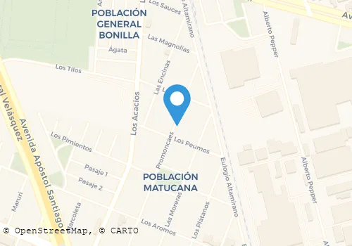 TRANSPORTES CABELLO SALAZAR LIMITADA Transporte De Carga en Renca RM