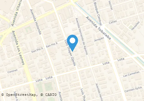 ARRIENDO DE DEPARTAMENTOS MARIA LARENAS VARGAS Construcciones en Providencia RM