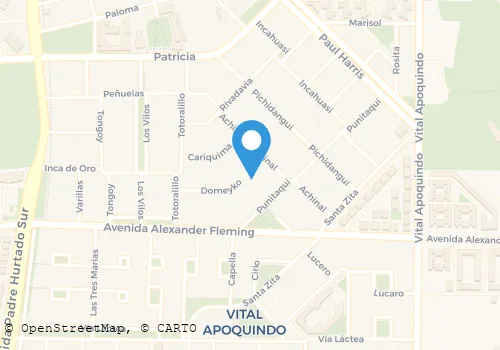 SOCIEDAD DE TRANSPORTES Y SERVICIOS LIMITADA Transporte De Carga en Las Condes RM