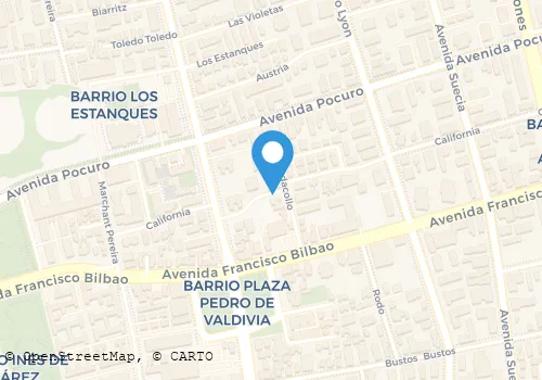 NATAN Transportes en Providencia RM