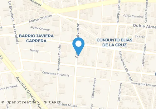 TRANSPORTES POLO LIMITADA Transporte De Carga en Ñuñoa RM