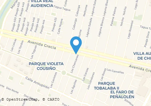 YONIS BERNARDO RAMIREZ DIAZ Salud Y Belleza en Penalolen RM
