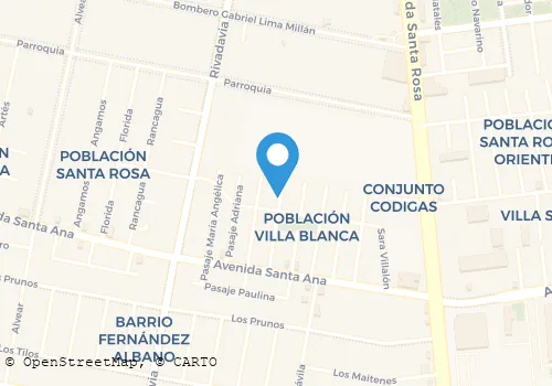 RADIO TAXI PANDA MÓVIL Transportes en Santiago RM