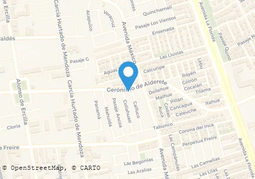 RADIOTAXI A.A. PASSENGER LTDA. Transportes en La Florida RM