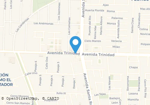ARAVENA Y CIA. LTDA. Carnicerías en La Florida RM