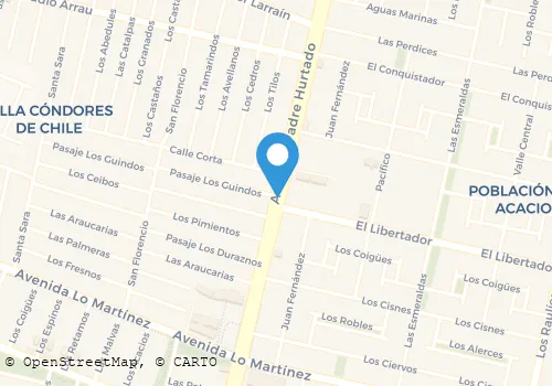 PORTALES EXPRESS RADIOTAXI Transportes en El Bosque RM