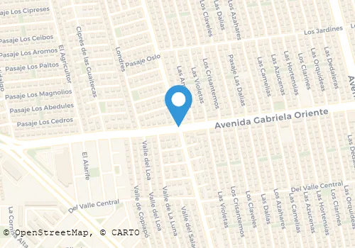 DON MATIAS Carnicerías en Puente Alto RM