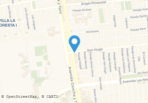 GUILLERMO SAMUEL VENEGAS DELO Carnicerías en Puente Alto RM