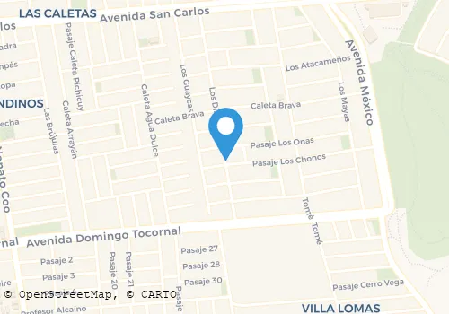 WWW.TRANSPORTES HIDALGO.CL Transporte de Sus Bienes Muebles en Puente Alto RM