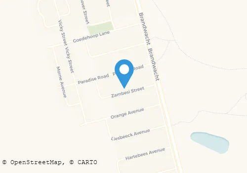 COUGAR SECURITY Security Systems in Worcester WC