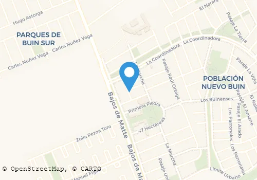 TRANSPORTES LUIS EDUARDO RUIZ RUIZ EIRL Transporte De Carga en Buin RM