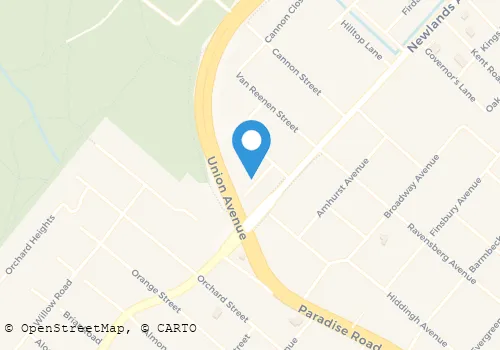 NEXUS ACCESS SYSTEMS Security Services in Newlands WC