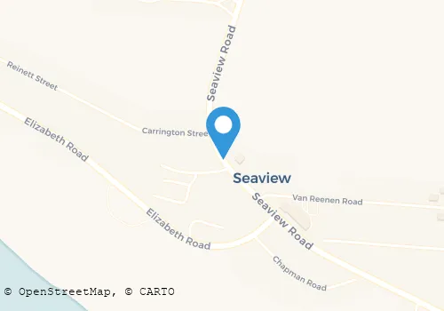 NITROUS SECURITY ARMED RESPONSE Security Systems in Clarendon Marine EC