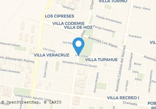 TAXIS EXPRESS Transportes en Rancagua LI