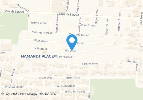 NEMISES CYBER GUARDS Security Systems in Mossel Bay WC