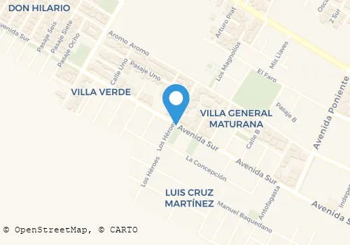 VASILIO ALEJANDRO SUTIN OLLENSTEIN Turismo Y Hotelería en Molina ML