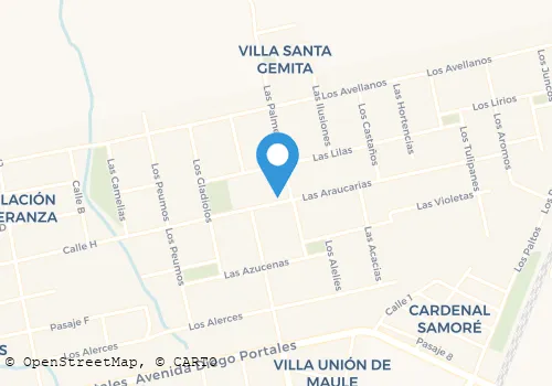 INMOBILIARIA Y RENTAS PISO SIETE LIMITADA Inmobiliarias en Maule ML