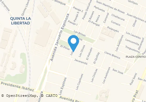 RADIO TAXIS ALAMEDA LTDA. Transportes en Linares ML