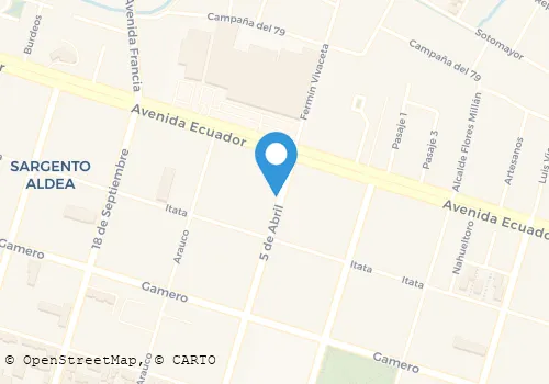 RADIOTAXI LIBERTADOR Transportes en Chillan BI