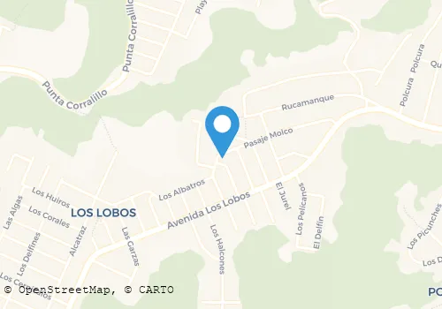 MIRYAM IRENE PARRA RIFFO Carnicerías en Talcahuano BI