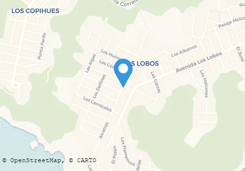 PATRICIA ELVIRA MORAGA BELLO Carnicerías en Talcahuano BI