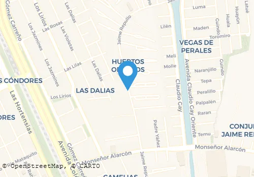 TAXI AEROPUERTO CARRIEL SUR Transportes en Talcahuano BI