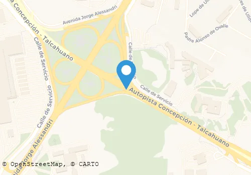 RADIOTAXIS LOS LIDERES S A Transportes en Concepción BI