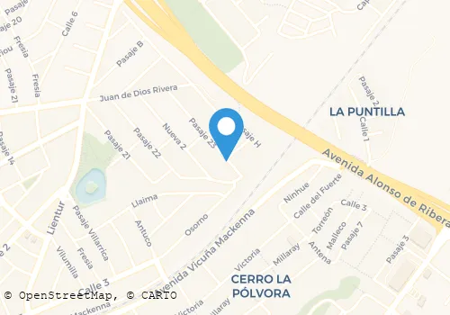 DECAM LIMITADA Constructoras en Concepción BI