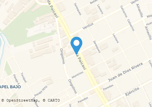 PURA CARNE Carnicerías en Concepción BI