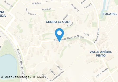 PELUQUERIA LIDIA DURAN Salud Y Belleza en Concepción BI