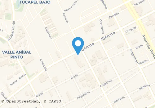 CARNICERIA DE EQUINO LA HACIENDA Carnicerías en Concepción BI