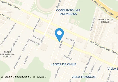 PANADERIA MAXI Panaderías en Concepción BI