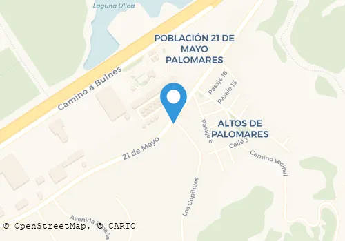 FARMACIA LORENZO ARENAS Medicinas en Concepción BI
