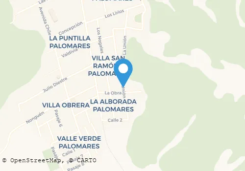 VILMA ANDREA SANHUEZA CORREA Carnicerías en Concepción BI