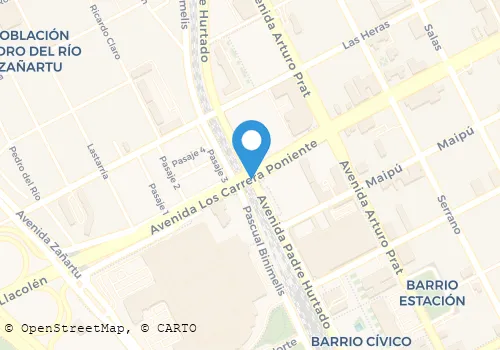 RADIO TAXIS CREACION Transportes en Concepción BI