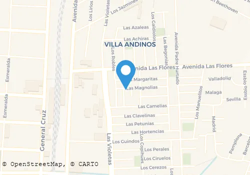 IVAN ALEJANDRO SAN MARTIN FREIRE Panaderías en Cabrero BI