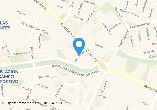 RADIO TAXIS ALEMANIA Transportes en Temuco AR