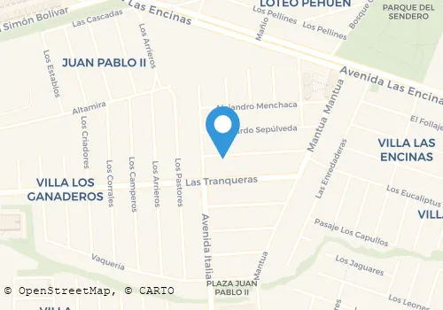 TAXIS RAVANAL Transportes en Temuco AR