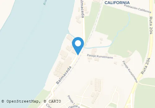 MARIO MARCOS PINEDA HERNANDEZ Transporte De Carga en Valdivia LR