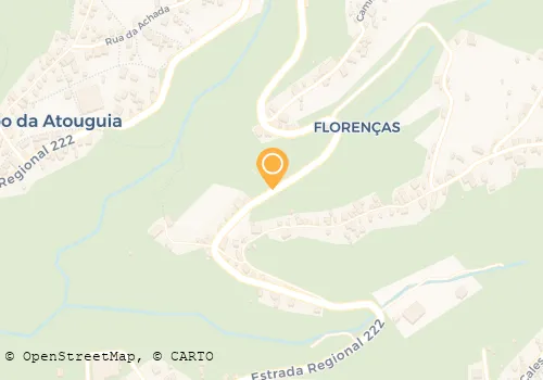 MARIA CONCEIÇÃO SANTOS