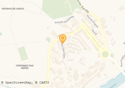 ANTÓNIO RODRIGUES NEVES