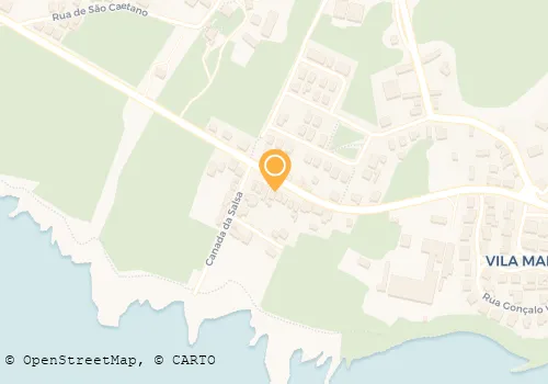 JOSÉ M FERNANDES COELHO