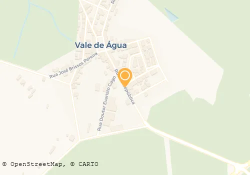 ANGELINA MARIA VILHENA