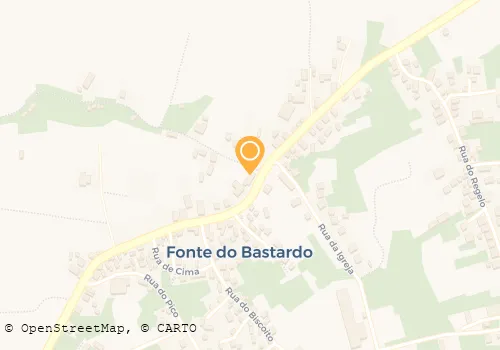 JOSÉ VIRGÍNIO & C LDA