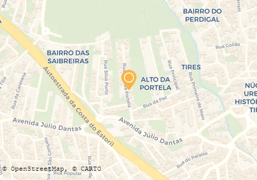 JOÃO MANUEL NUNES LDA