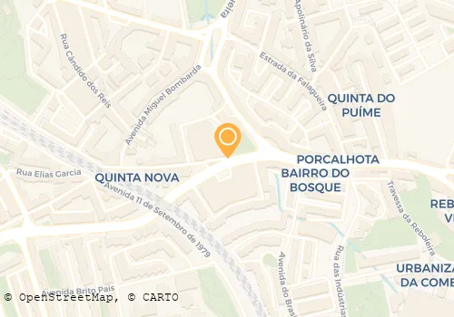 PAULO A PINA VIEIRA